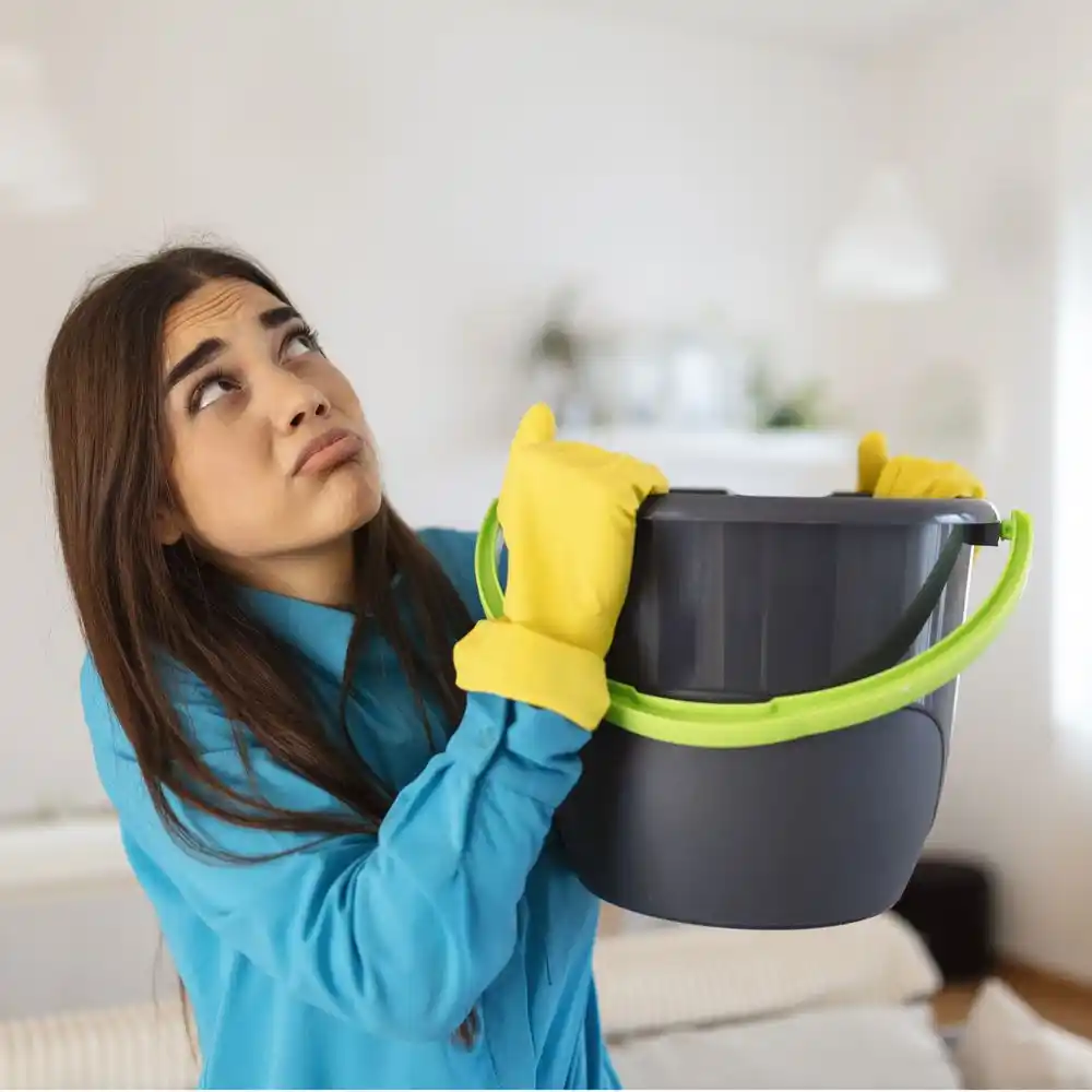 water damage restoration service Mountainside